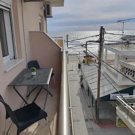 Seaview ポトス